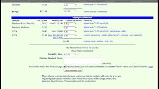 adilas employee pay stub add/edit