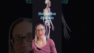 Learning Anatomy And Physiology