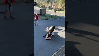 Boys play fight with toy sword and shield then one kicks and says this is Sparta then faceplants