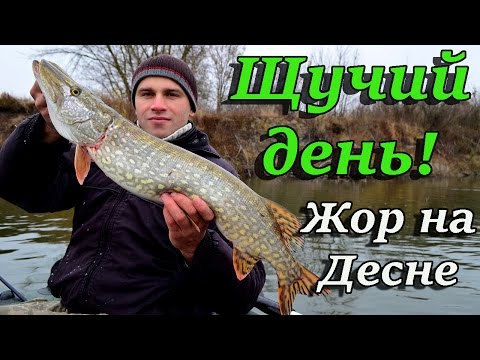 Щучий день. Жор на Десне.