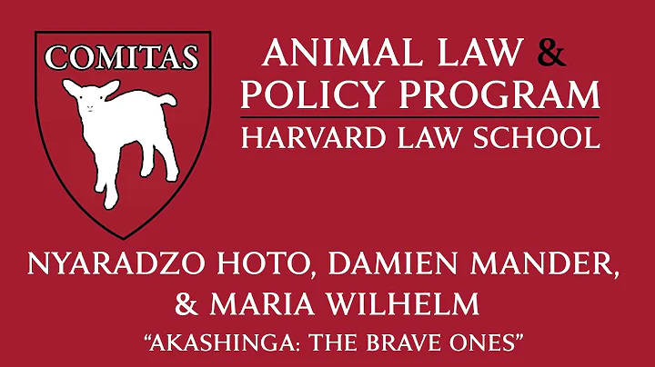 03/03/21: Panel "The Brave Ones" Documentary Q&A