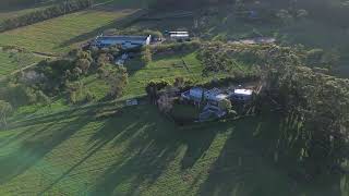 DJI 0486