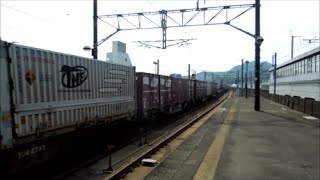 JR貨物 EF210-159号機[吹]+コキ25B　貨物列車1059レ【栃木県北通運コンテナ積載!!】