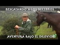 Toros de La Remonta: rescate de becerros, aventura bajo el diluvio (2016) | Toros desde Andalucía