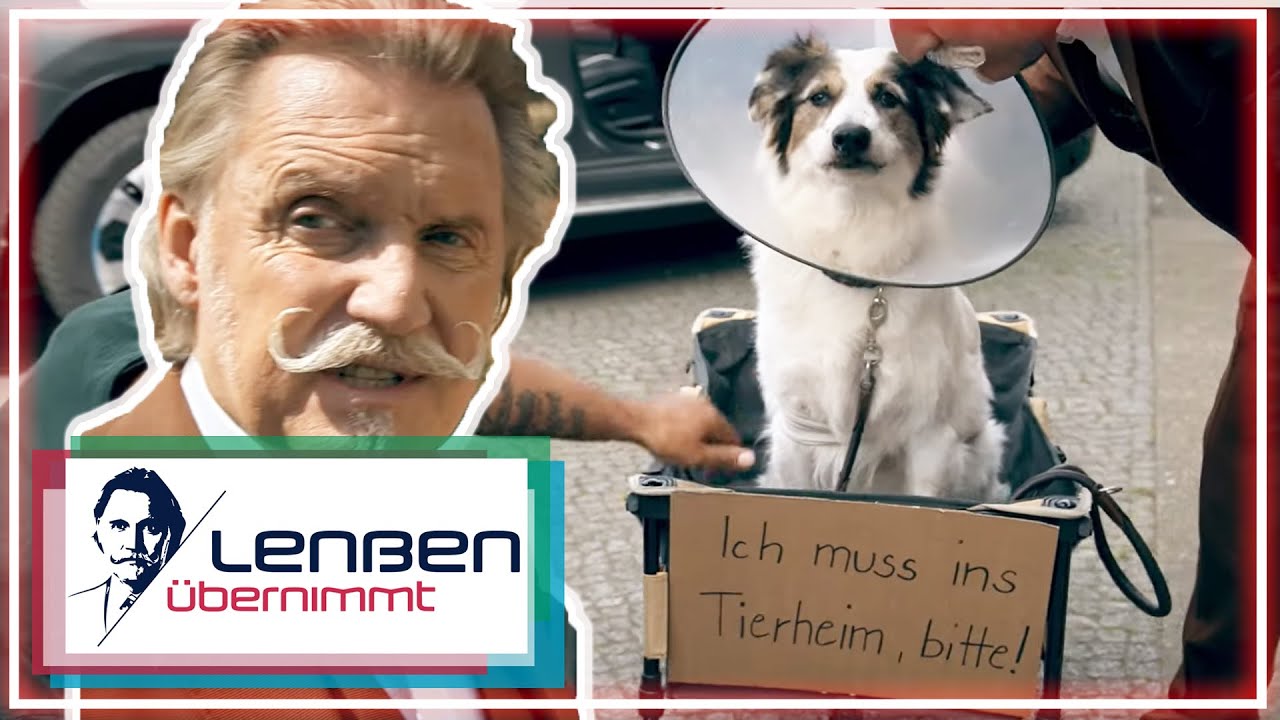 Hundehasser: "Der will unseren Hund umbringen!!" | 2/2 | Lenßen übernimmt | SAT.1