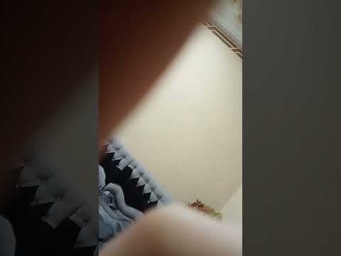 ١٥ أغسطس ٢٠٢٥