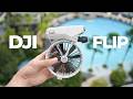 Flying the DJI Flip as a Total Beginner!