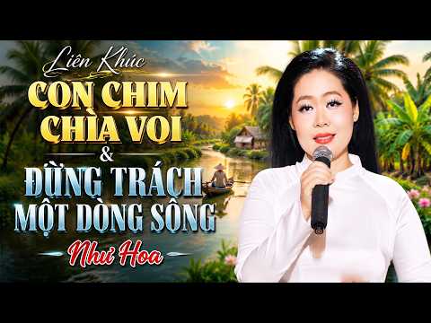 LK CON CHIM CHÌA VOI & ĐỪNG TRÁCH MỘT DÒNG SÔNG - Như Hoa | Dân Ca Trữ Tình Dành Cho Người Từng Trãi