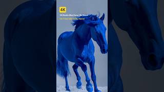 3H Electric Blue Horse | 4K  #background #screensaver #4k