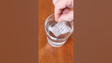This Is How To Make A Paper Clip Float On Water 💦 📎 😮