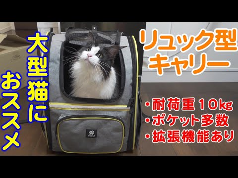 猫商品レビュー11】SmileDog リュック型ペットキャリー - YouTube