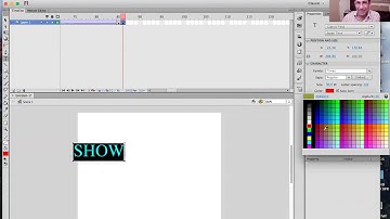 FLASH-ANIMACION DE TEXTO Y ESCENAS