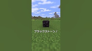 統合版 vs Java版に存在した仕様...？【マイクラ豆知識 解説 裏技】