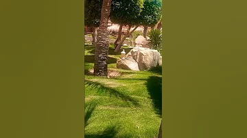ام كلثوم خليني جنبك خليني Makadi 