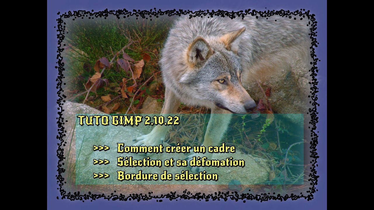 Tutoriel GIMP 2 10 22 Sélection et déformation pour créer un cadre