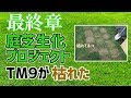 【庭芝生化計画】「第四回 最終章 TM９芝が枯れた、目土編」