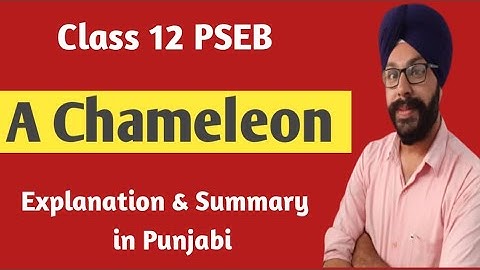 a chameleon class 12 in punjabi a chameleon chapter class 12 12th class general english a rainbow of