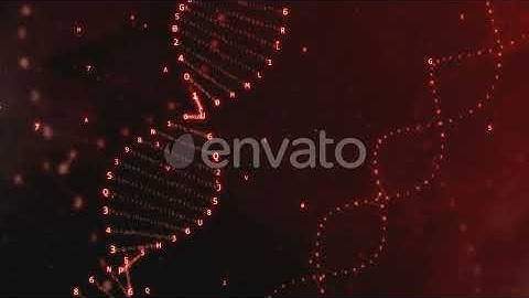 DNA Rotation From Hexadecimal Code | Motion Graphics - Envato elements