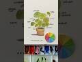 Choosing colors for underpainting in watercolor #watercolorpainting #watercolortutorial #watercolor
