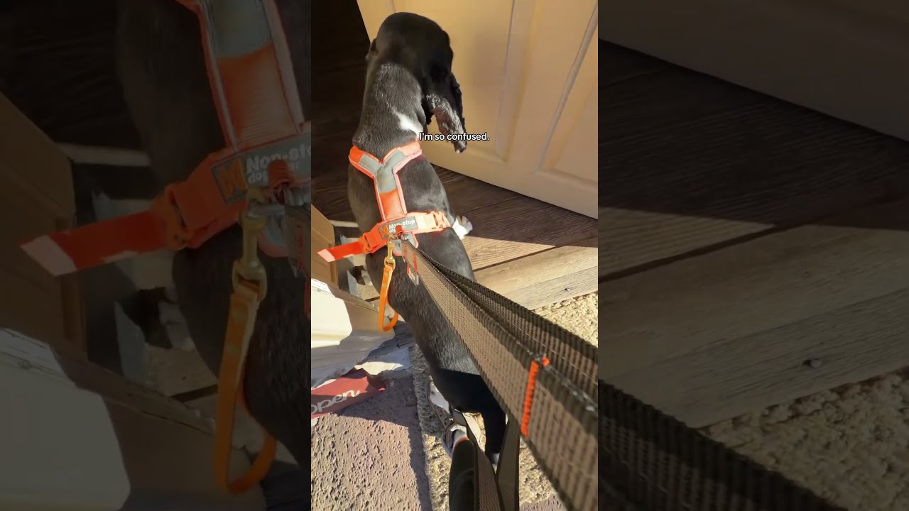 Раддеру так сильно хотелось попасть в дом Джорджа Вашингтона 😂 