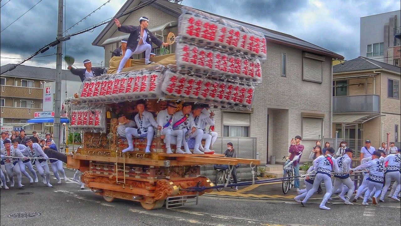 2024.10.04 堺市 鳳だんじり祭り 十町曳き (新在家·野代·大鳥·野田·北