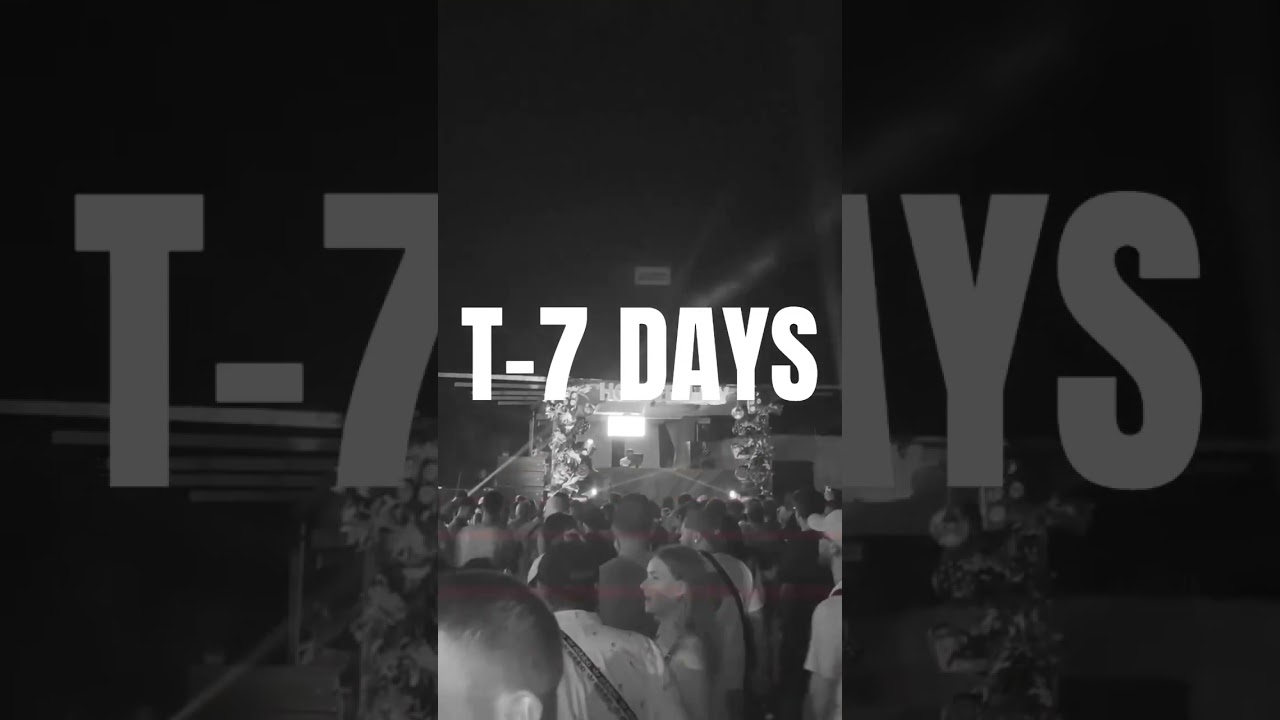 ⏰ T-7 DAYS
