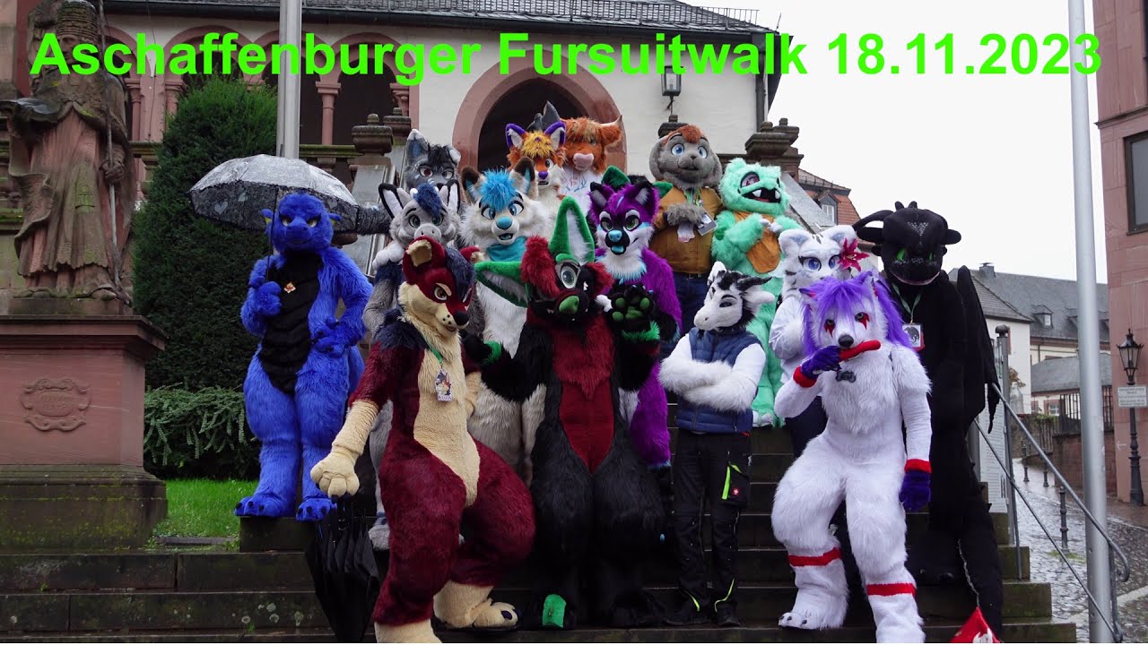 Fursuit Walk Aschaffenburg Germany on 18.11.2023
