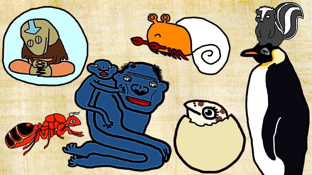 34 Animal Facts So SAD I Had to Animate Them