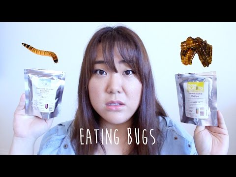 EATING CHOCOLATE COVERED BUGS