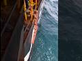 Штормтрап #shorts #шортс #reels #sea #моряки #life #crew #море
