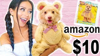 MY DOG TRIES ON HALLOWEEN COSTUMES!
