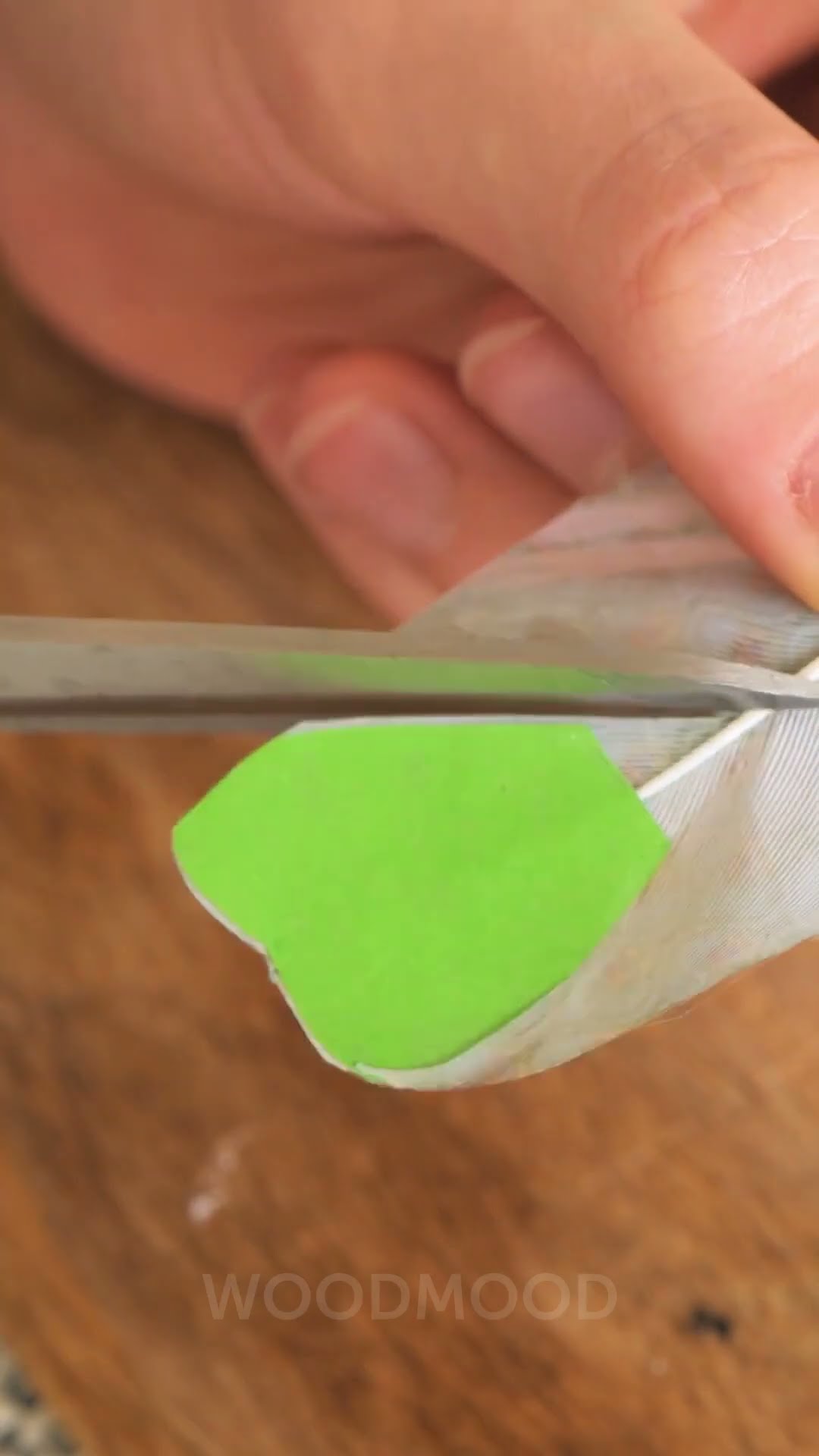 I Saved a Butterfly and Fixed Its Wing! ? Fly Free, Beautiful Creature!