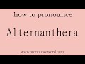 Alternanthera: How to pronounce Alternanthera in english (correct!).Start with A. Learn from me.