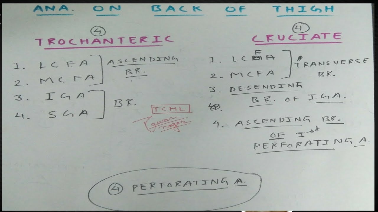 Trochanteric and Cruciate Anastomosis | Part 1 | The Charsi of Medical Literature