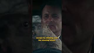 Did You Know This In The Movie Groundhog Day
