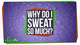 Why Do I Sweat So Much?