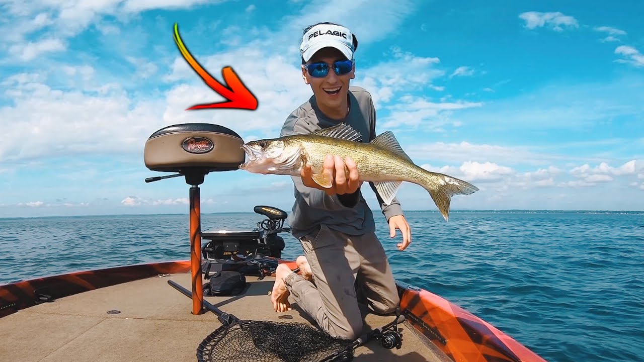 Boîte d'articles de pêche au dropshot : kit de leurres double