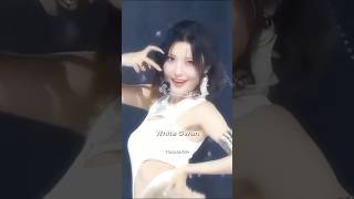 Xin Black Swan Or White Swan