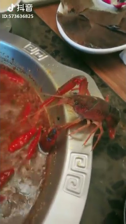 Poor crab 🦀 escaped from a boiling dish