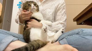 🐈パパ猫が落ち込んじゃいました…