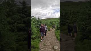 Discovering Ballinastoe Woods' Secret Trails