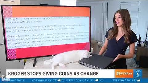 Cat interrupts CBS News Broadcast by attempting to Turn Off Reporter