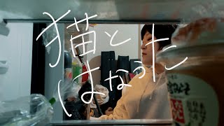 【MV】猫とはなうた/アビガシ