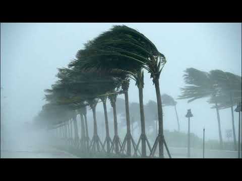 صوت الرياح للمونتاج جودة عالية