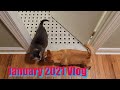 January 2022 Vlog