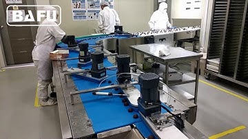 Bafu FWC350: High-Speed Flow Wrapper in Action at a South Korean Chocolate Factory