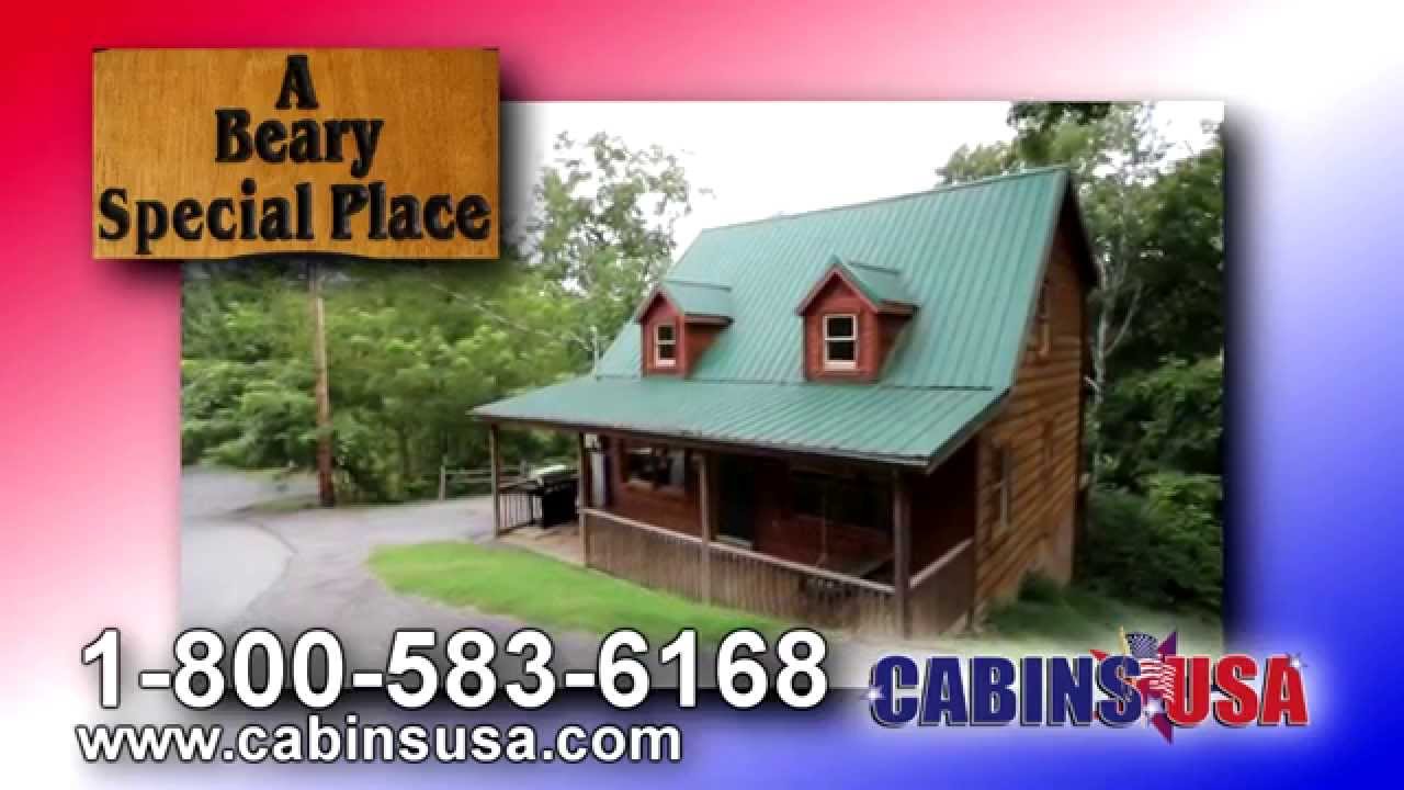 A Beary Special Place 2 Bedroom Sky Harbor Honeymoon Cabin In