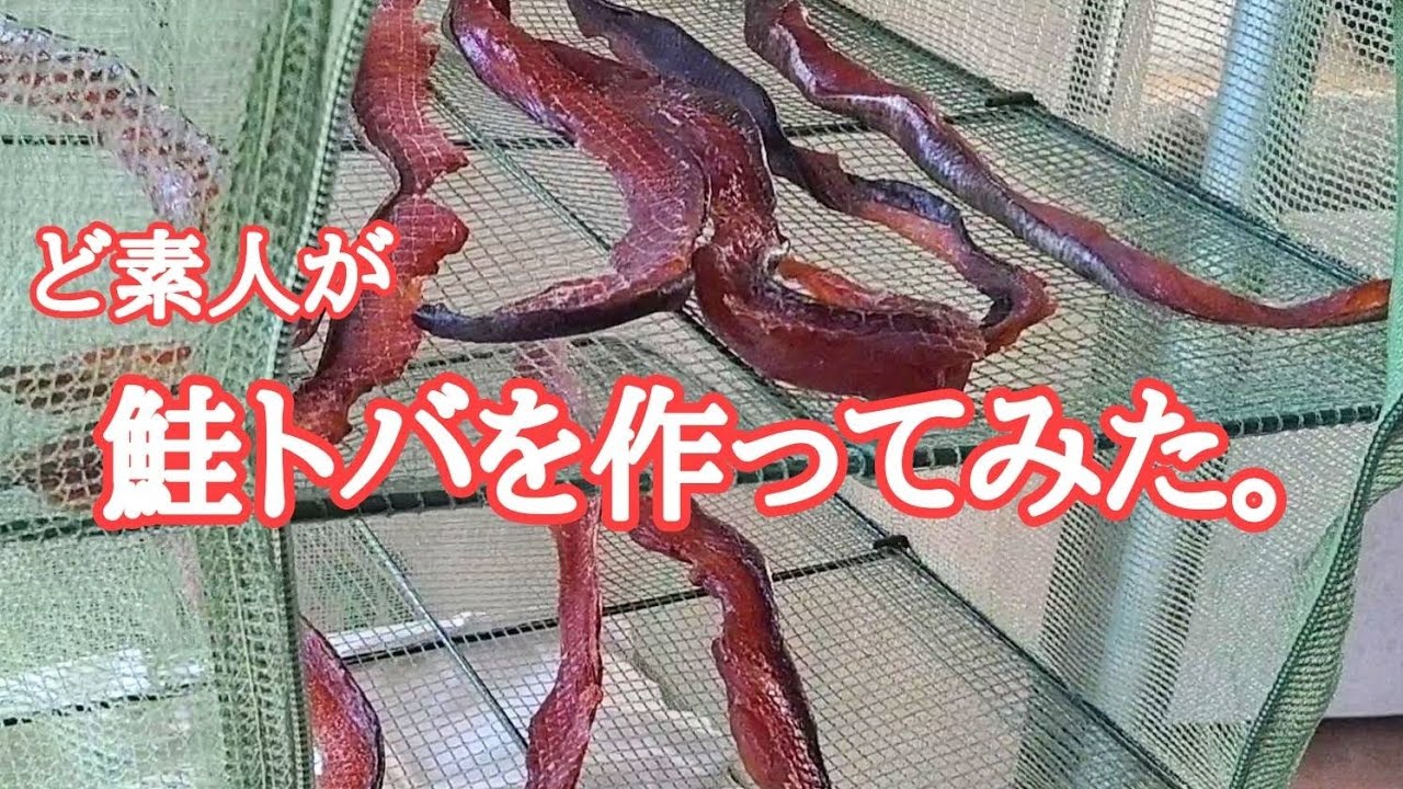 【北海道】もらった鮭でトバ作りに挑戦！旨いけど…。んっ😅？
