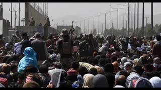 Escape from Afghanistan: Mobilizing the Global Tufts Community
