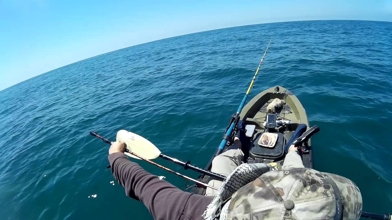 Fishing at Dana Point on kayak 2016 YouTube